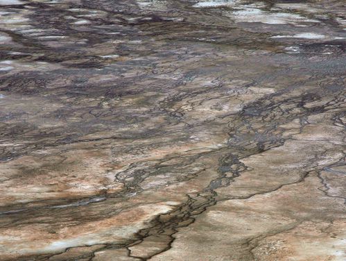 Yellowstone-8584-copie.jpg