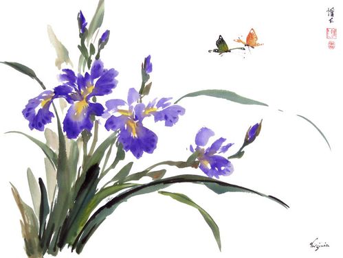 Iris-Butterflies