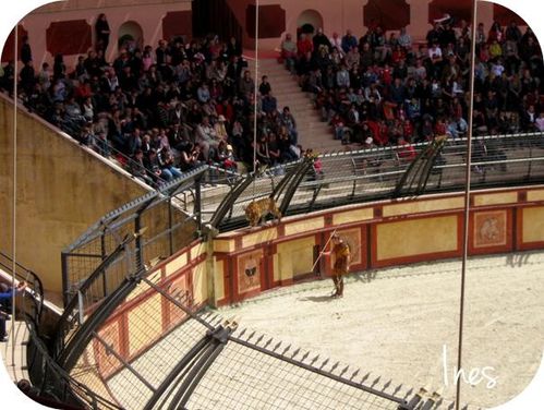 Puy du Fou 20