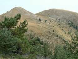 luzet_783.jpg