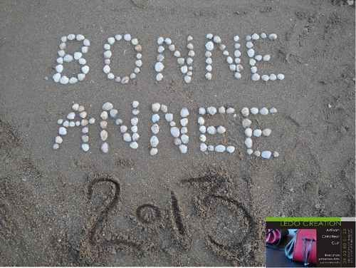 Bonne-Annee-2013-2.jpg