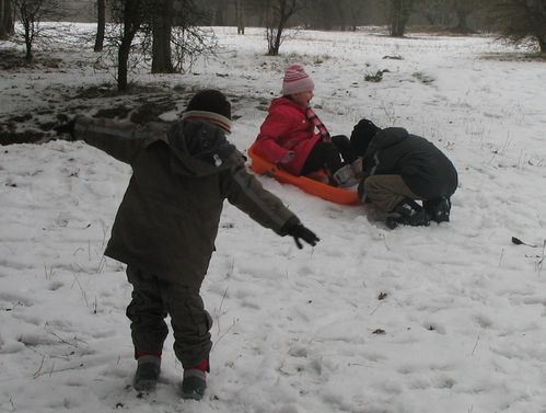 2010-2566.JPG