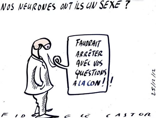 NOS-NEURONES-ONT-ILS-UN-SEX.jpg