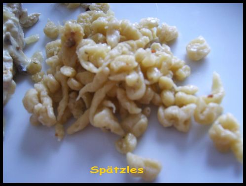 spatz2.jpg