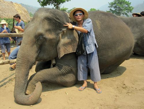 elephants_01.jpg