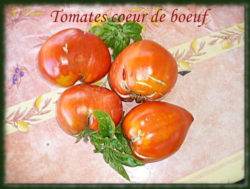 tomates-vacances.JPG