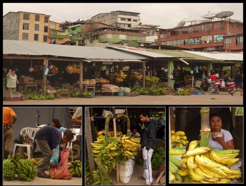 collage mercado mocoa