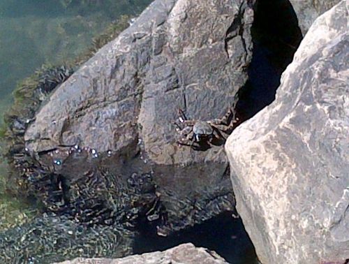 IMG-20121216-00220.jpg