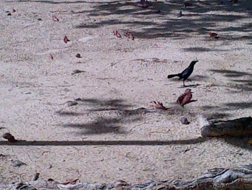 IMG-20121216-00226.jpg