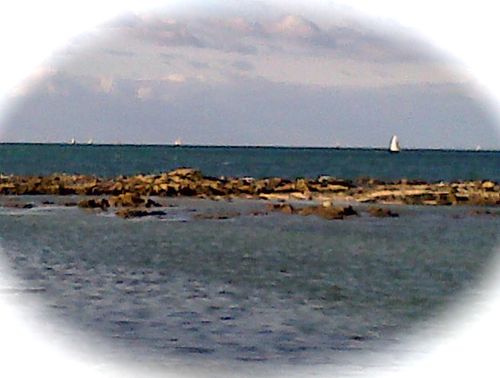 La-Turballe-20121028-00932.jpg