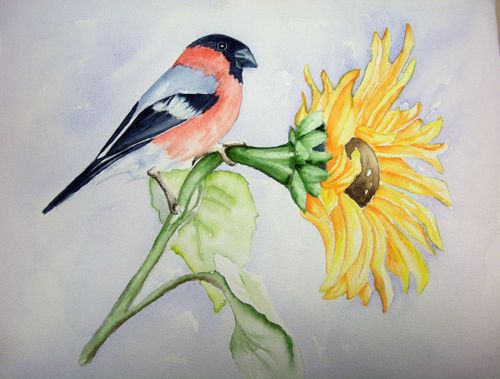 Aimee.Oiseau-au-tournesol.jpg.jpg
