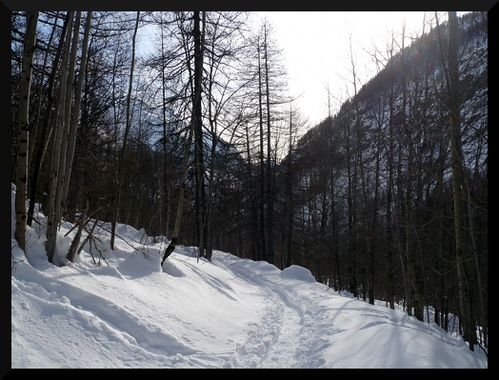 montagn-copie-1.JPG