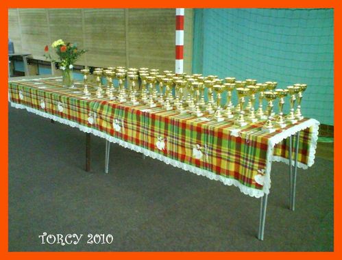 2010 TORCY005 (Medium)