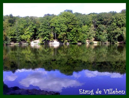 MEUDON-DSC0000005--Small-.jpg