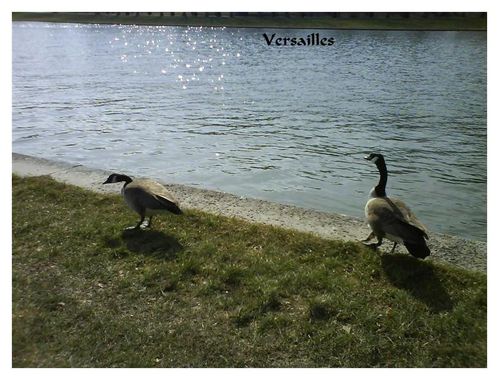 Grand Canal020 (Medium)