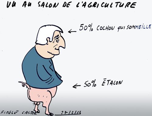 50--CHEVAL--50---COCHON-QUI.jpg