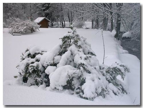 Hiver.jpg