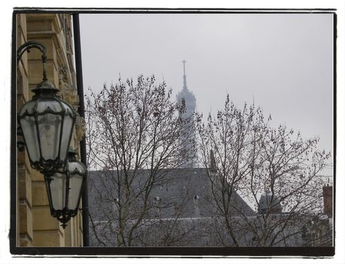 jardin musee rodin3