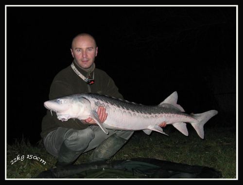 22kg.jpg