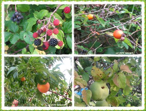 fruits-du-lac-audry.jpg