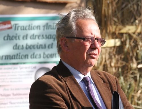 fete-vache-nantaise 1031