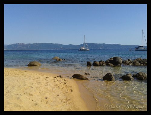 08 Corse 2013 (176) copie