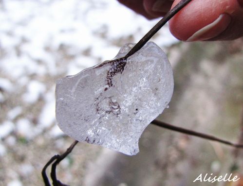Coeur-de-glace--fevrier-2010-e.jpg