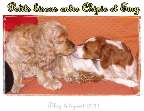 2011 oct copines emy 5