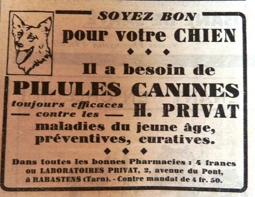 pilules-canines.JPG