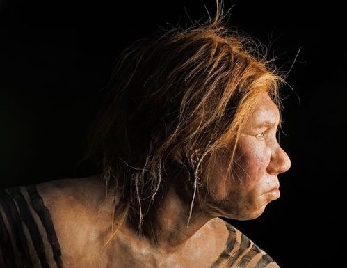 neanderthal giovane