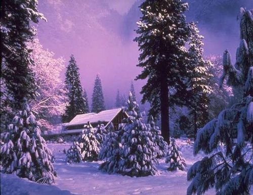 Neige-2-copie-1.jpg