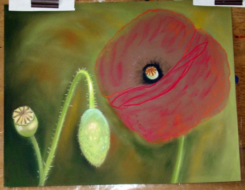 coquelicot au pastel