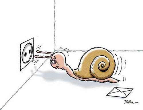 escargot-suicide.jpg