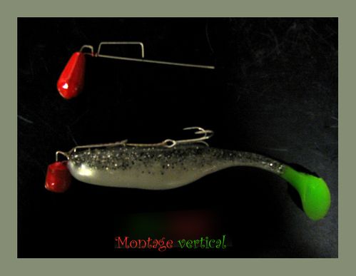 montage silure fireball