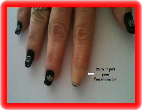 Annee-2011-0677.JPG