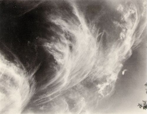 stieglitz equivalent 1930