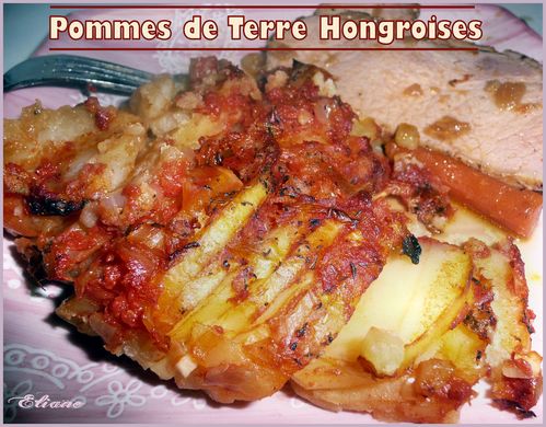 pdt-hongroise.jpg