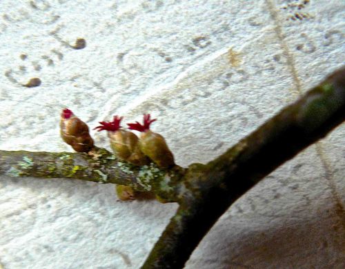 P1150366.jpg