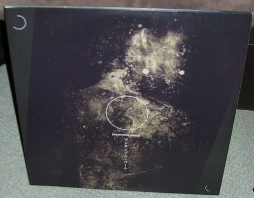 DSCN3775.JPG