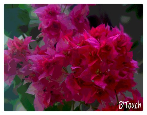 B'Touch 0088M