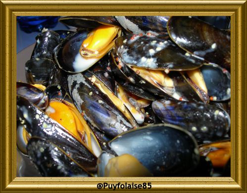 moules-moutardees.jpg