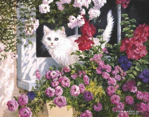 db_Weirs_Persis_Clayton_Summer_Window3.jpg
