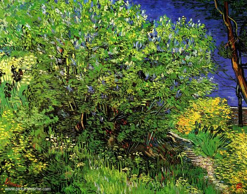 les lilas l