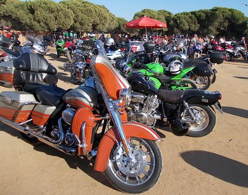 motofaro244
