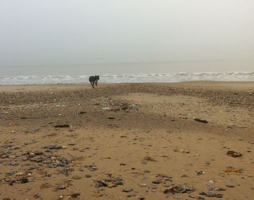 Brume plage 6 11jan14