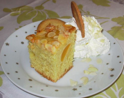 Moelleux amandes-abricots5