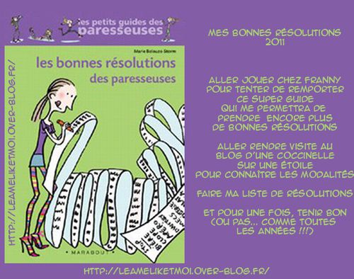 mes-bonnes-resolutions-2011.jpg