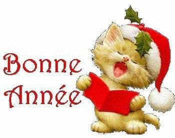 151601_191566109_bonne-annee_H124257_L.jpg