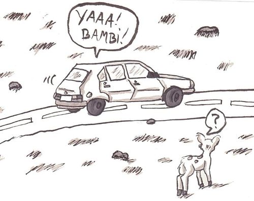 paris15.jpg