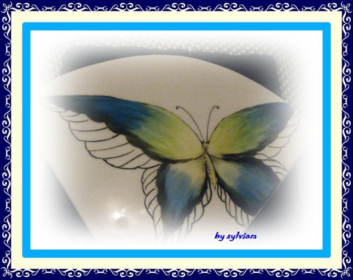 papillon-2.jpg